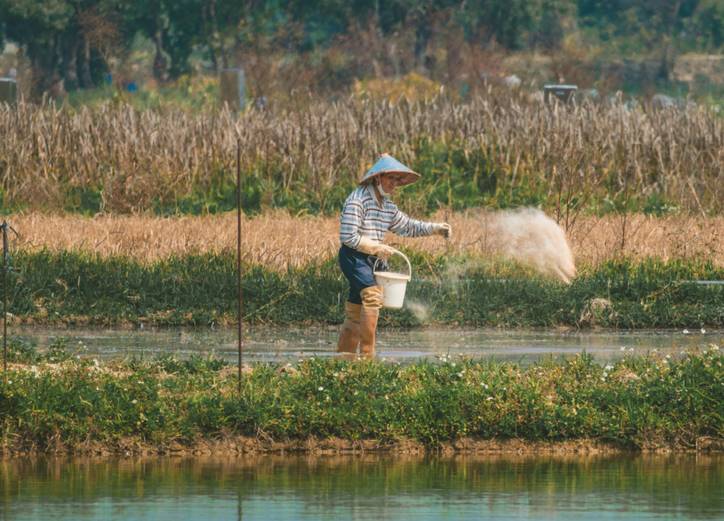 Pupuk Subsidi 205 Ribu Ton Disalurkan untuk Dukung Produksi Pertanian - LaporanTerkini.com