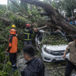 Pohon Tumbang di Kawasan Unpad Jatinangor, Satu Orang Kritis dan Empat Lainnya Terluka