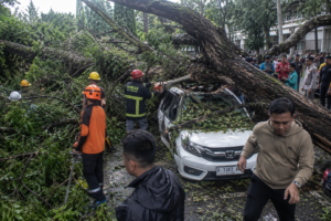 Pohon Tumbang di Kawasan Unpad Jatinangor, Satu Orang Kritis dan Empat Lainnya Terluka