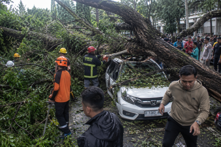 Pohon Tumbang di Kawasan Unpad Jatinangor, Satu Orang Kritis dan Empat Lainnya Terluka