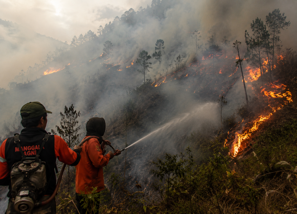 Karhutla Bromo Meluas Hingga 550 Hektare